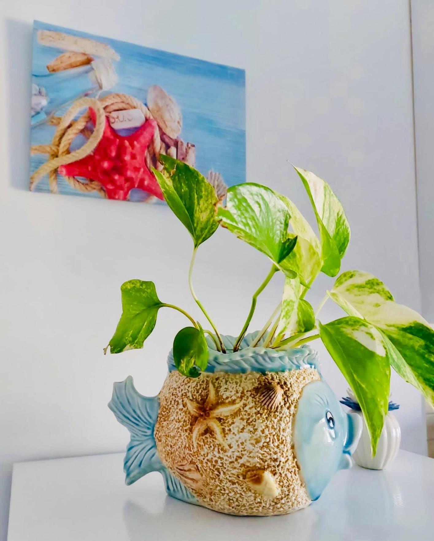 Vistamare Apartments レッジョ・ディ・カラブリア エクステリア 写真